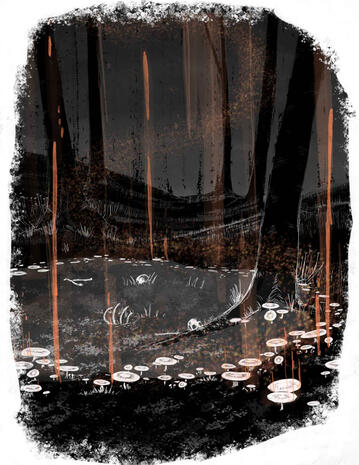 Childbook Illustration v2